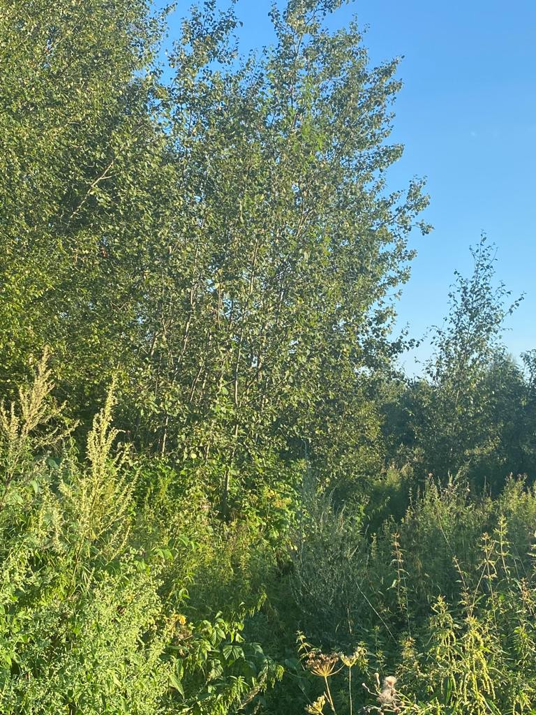 Купить Участок В Донино Раменского Района