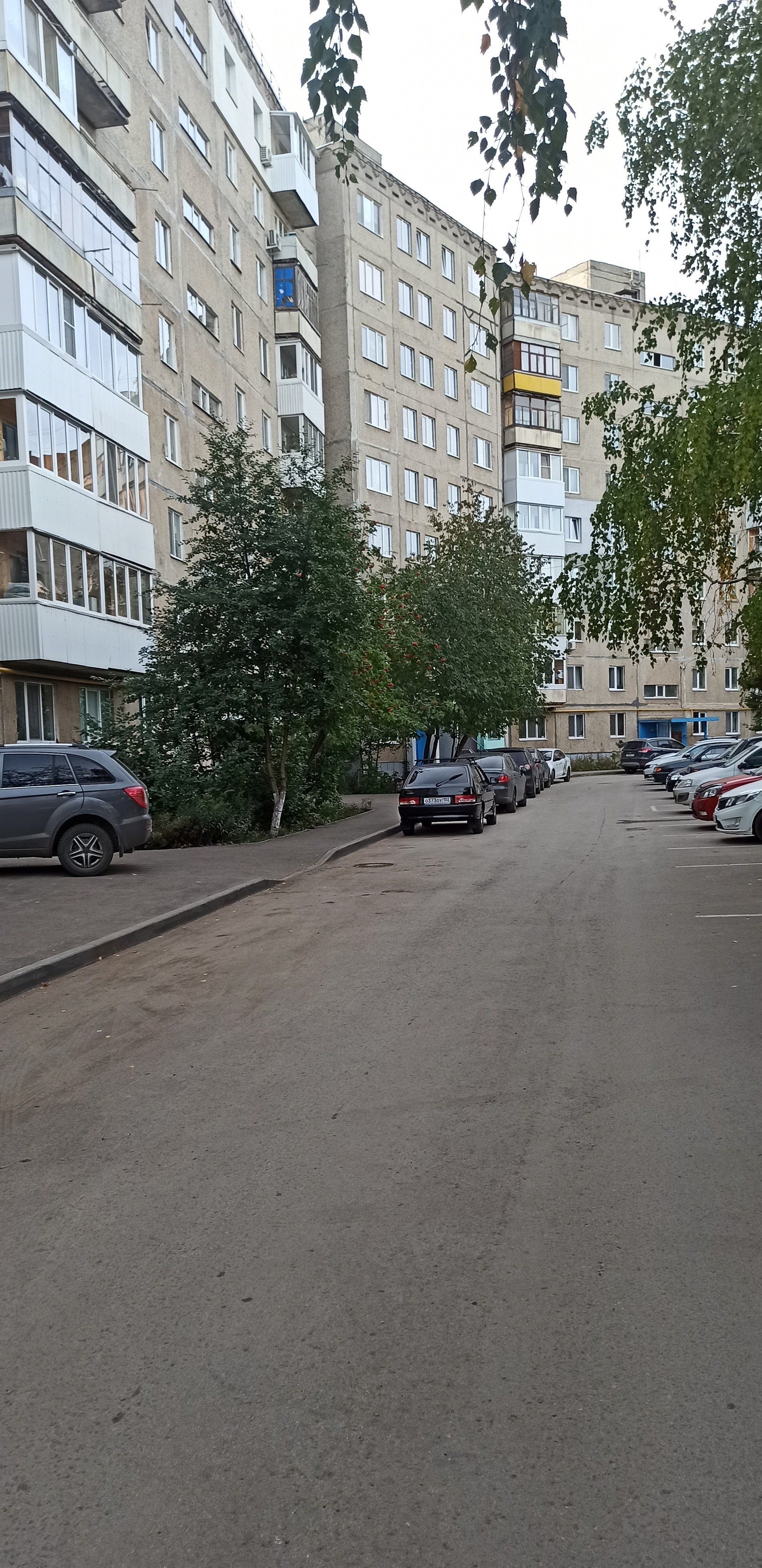 Рабкоров 3. Рабкоров 3
