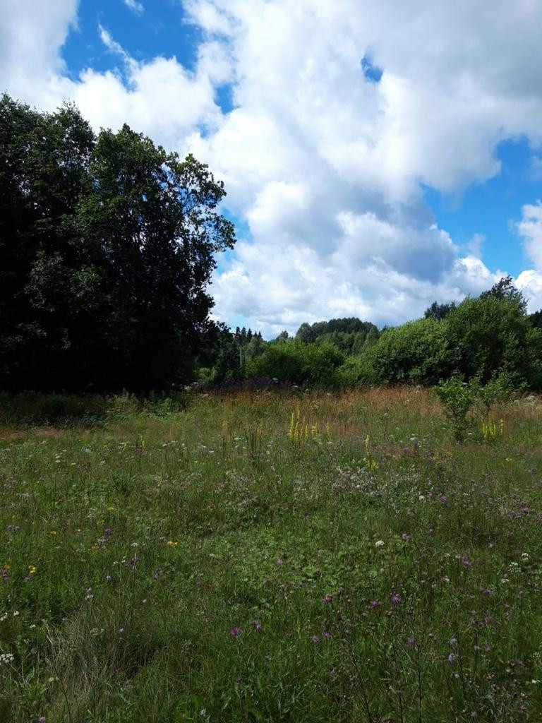 Купить Земельный Участок В Тверской Области