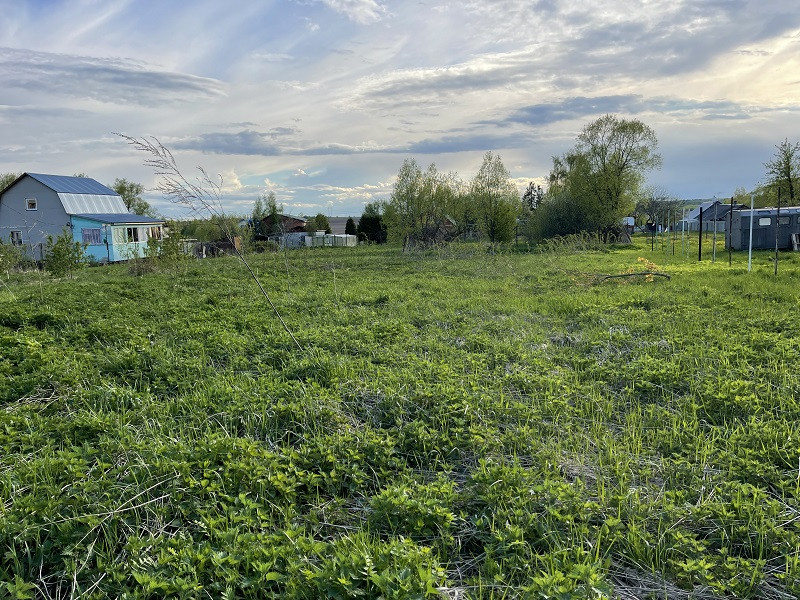 Кошерово Раменский Район Купить