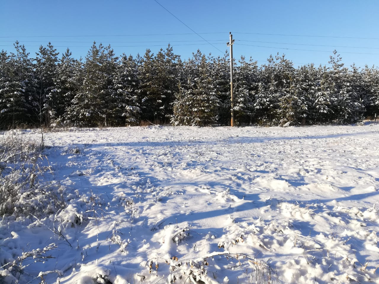 Купить Участок В Воронеже Рамонский Район