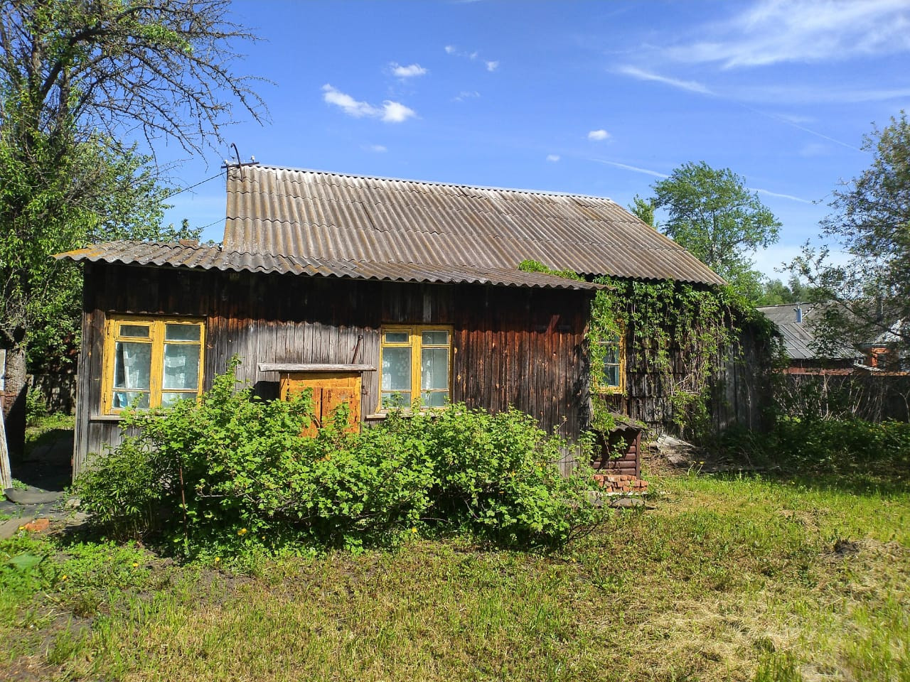 Фото северо задонск тульская область