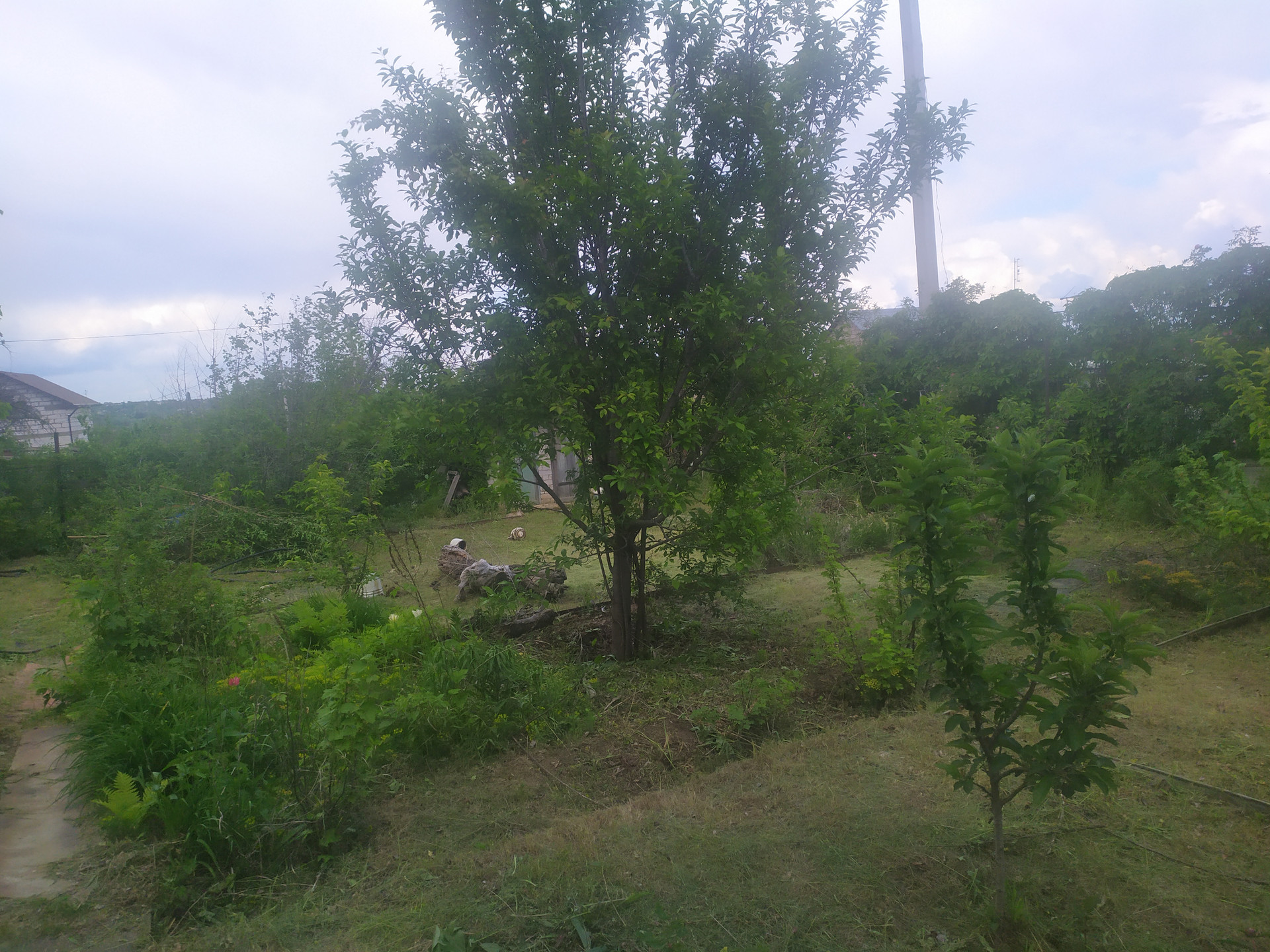 Купить Дачу В Винновке Волгоград Свежие