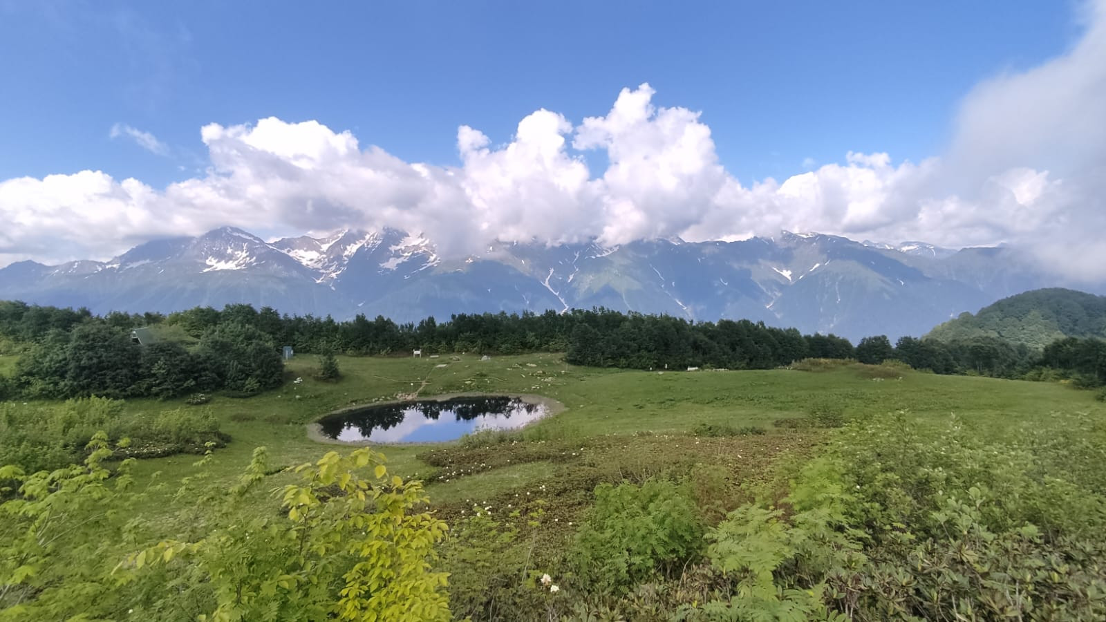 Апшеронский район Краснодарский край