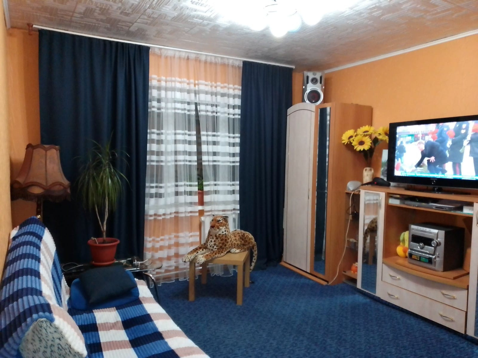 квартира студия в смоленске. квартиры сафоново. авито сафоново квартиры. советская 55 сафоново аренда. сизова 1 североморск.