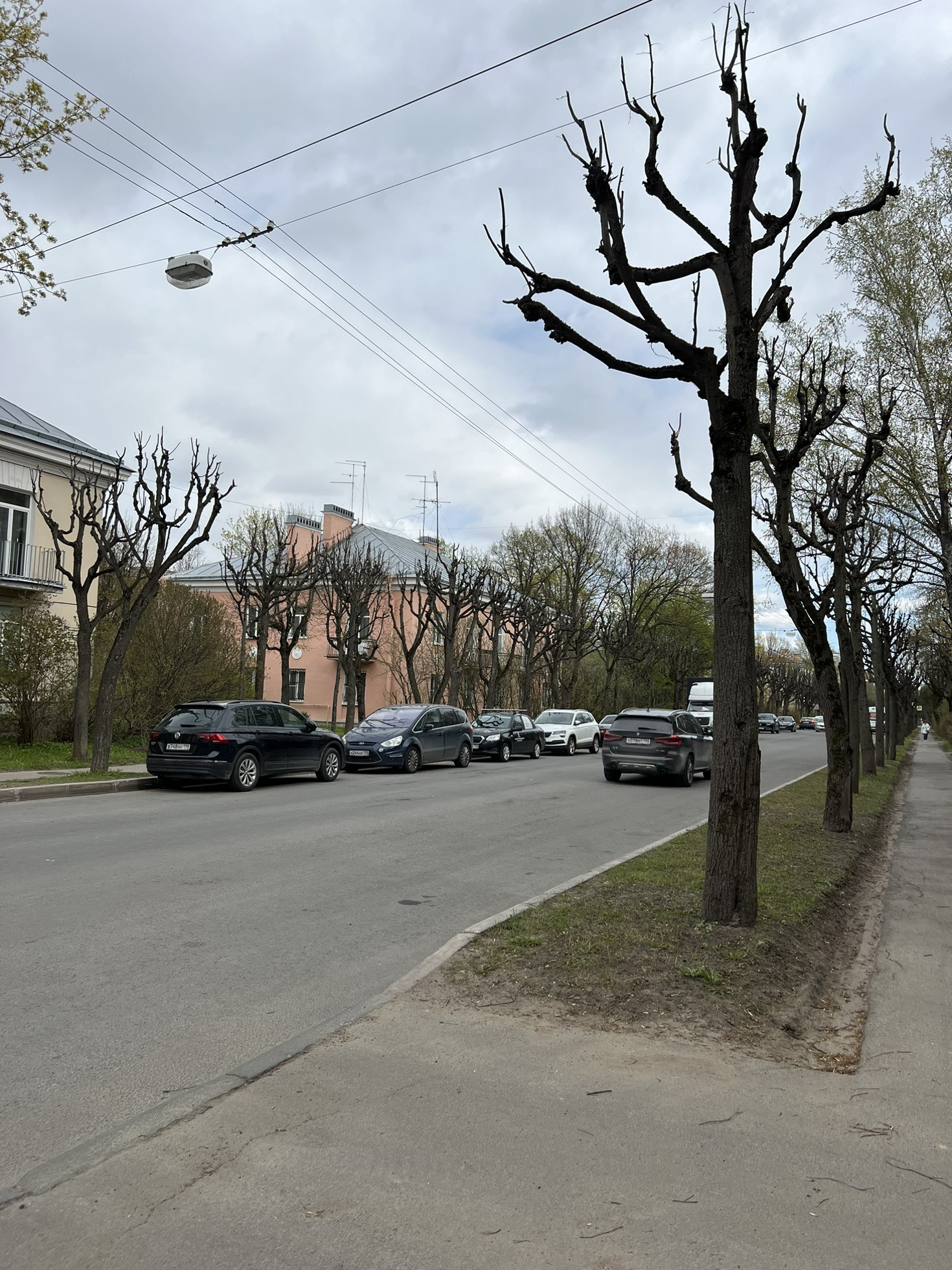 Магазейная улица пушкин. Леонтьевская улица пушкин. Магазейная улица, 20 пушкин. Царскосельская коллекция музей. Магазейная улица пушкин.