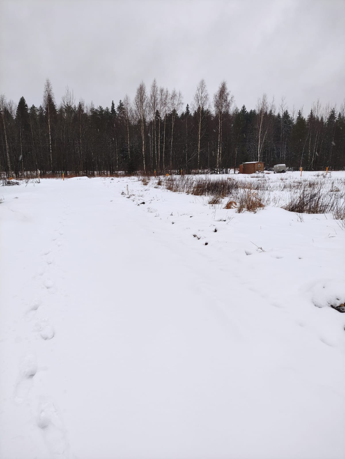 Купить участок, 6 сот., Садовый по адресу Ленинградская область ...