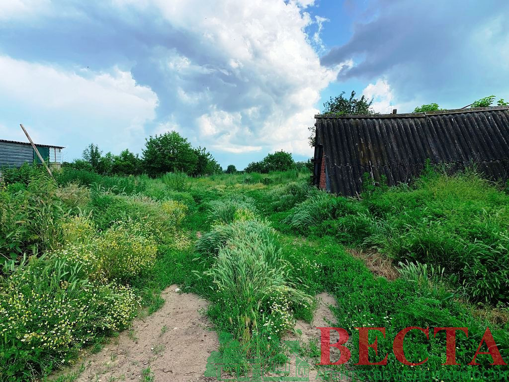 Краснодарский край село львовское фото