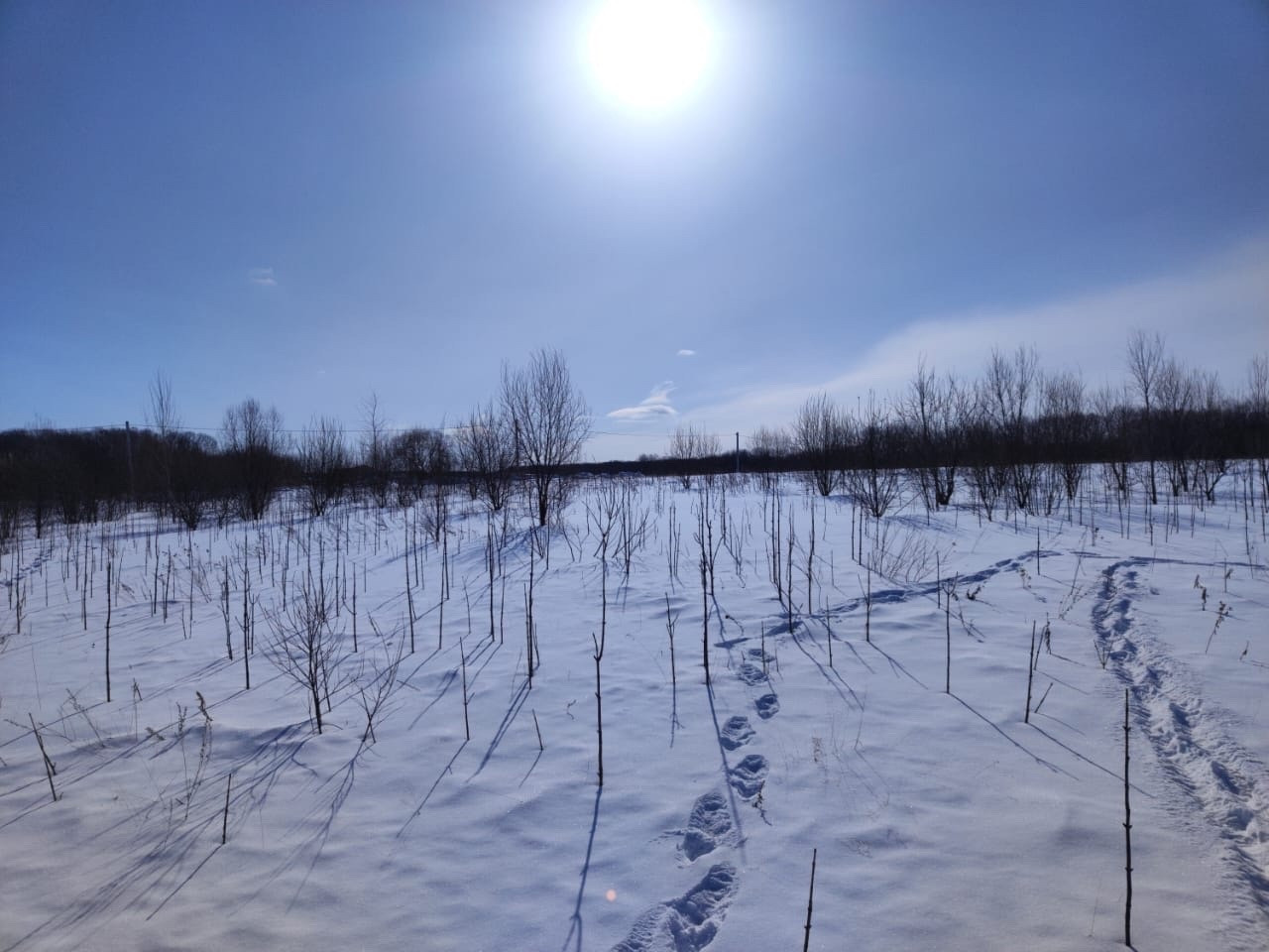 Купить Участок В Осиновой Речке Хаб Района