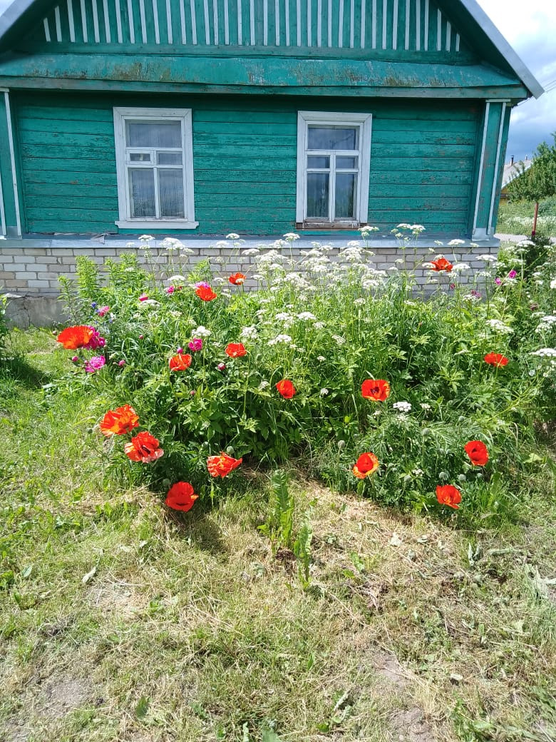 Купить дом, 56 м² по адресу Псковская область, рабочий посёлок Локня,  Социалистическая улица, 57 за 800 000 руб. в Домклик — поиск, проверка,  безопасная сделка с жильем в офисе Сбербанка.