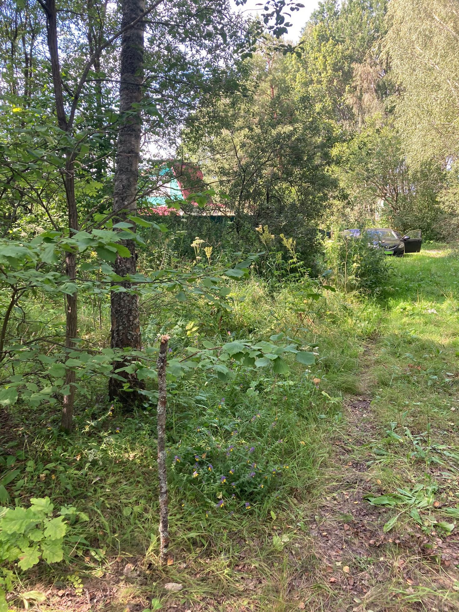 Купить Земельный Участок В Алексине Тульской Области