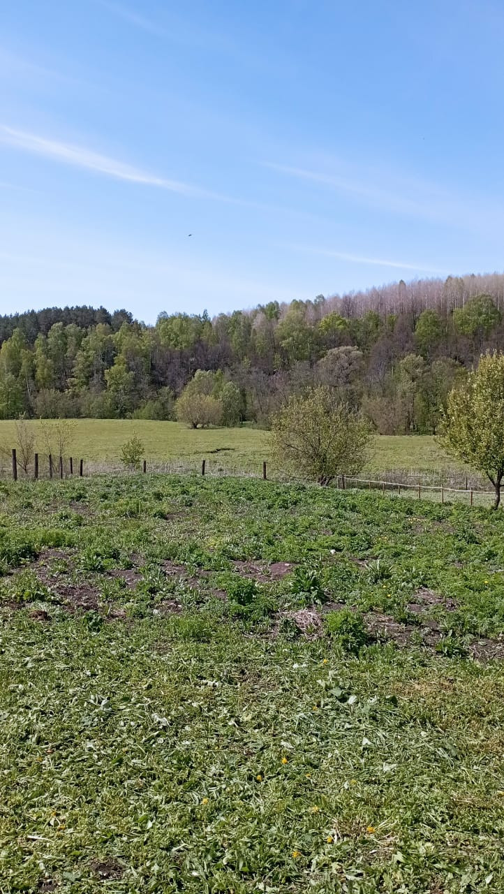 Купить дом, 26.2 м² по адресу Республика Башкортостан, Мишкинский район,  Камеевский сельсовет, село Бабаево за 800 000 руб. в Домклик — поиск,  проверка, безопасная сделка с жильем в офисе Сбербанка.