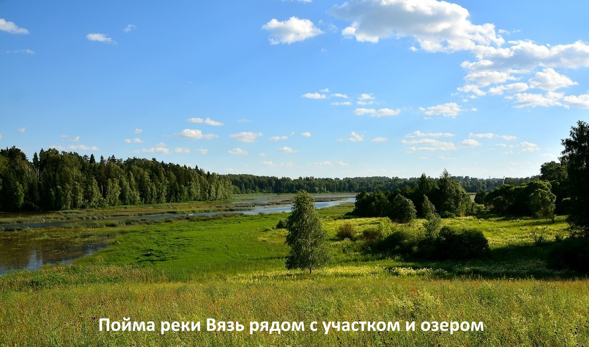 Купить участок, 24 сот., ИЖС по адресу Московская область, городской округ  Пушкинский, деревня Нововоронино, 17А за 4 970 000 руб. в Домклик — поиск,  проверка, безопасная сделка с жильем в офисе Сбербанка.