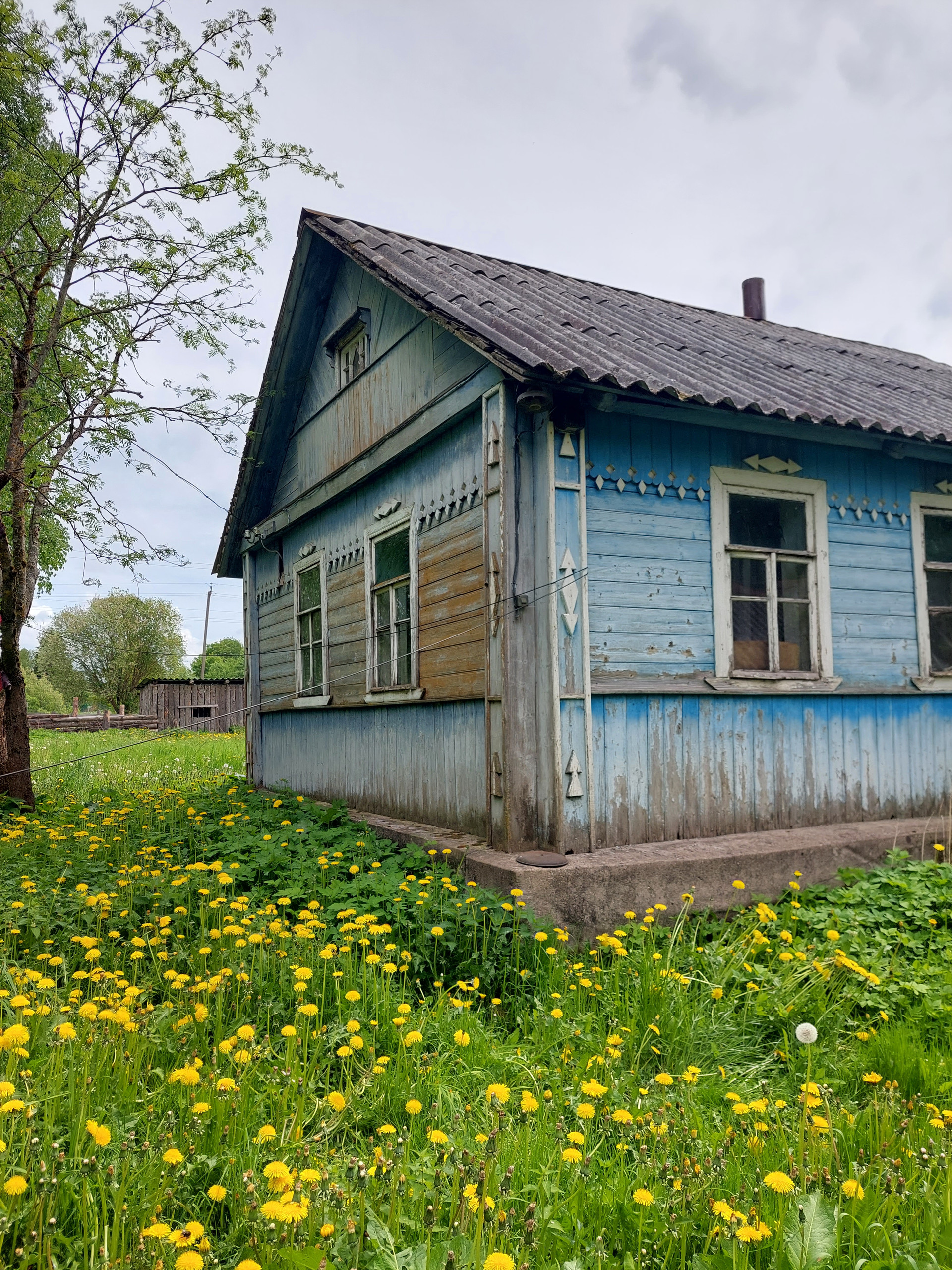 Купить Дом Дер Псковского Района