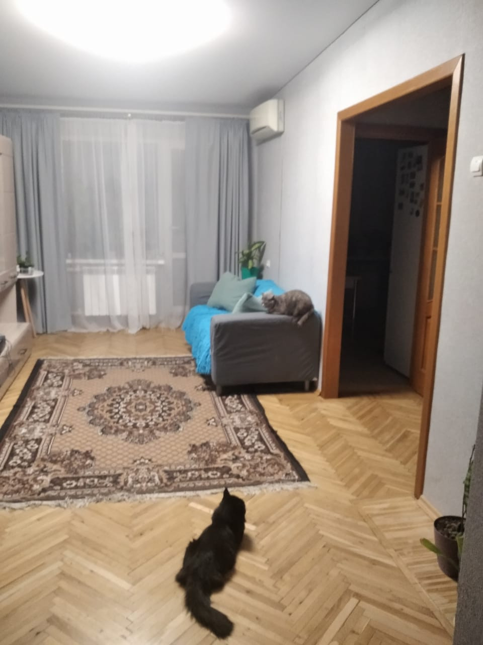 Купить Квартиру В Азове