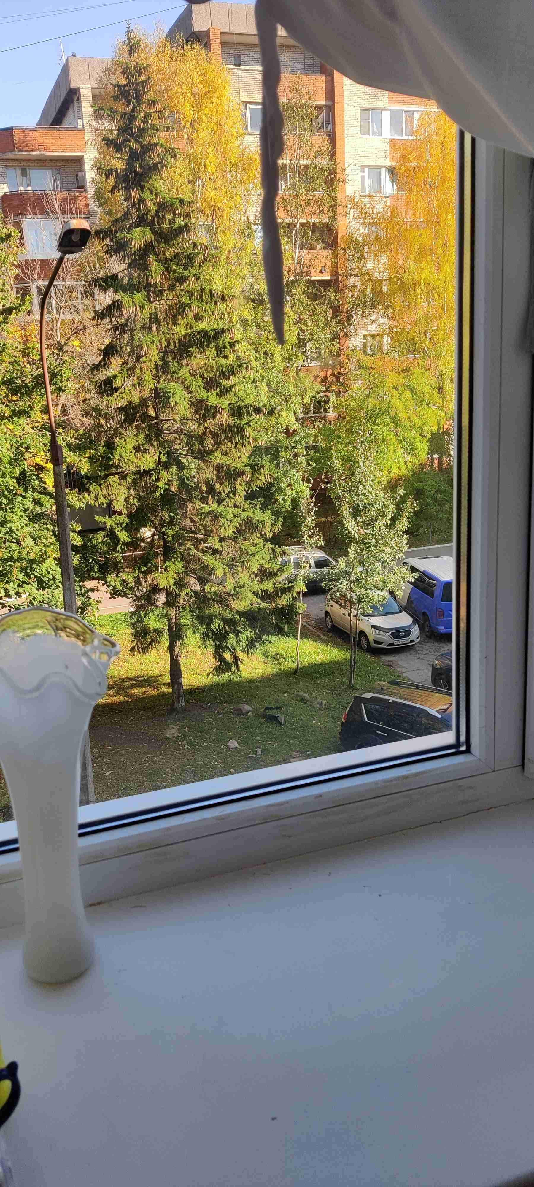 Купить 1-комнатную квартиру, 18.4 м² по адресу Ленинградская область ...