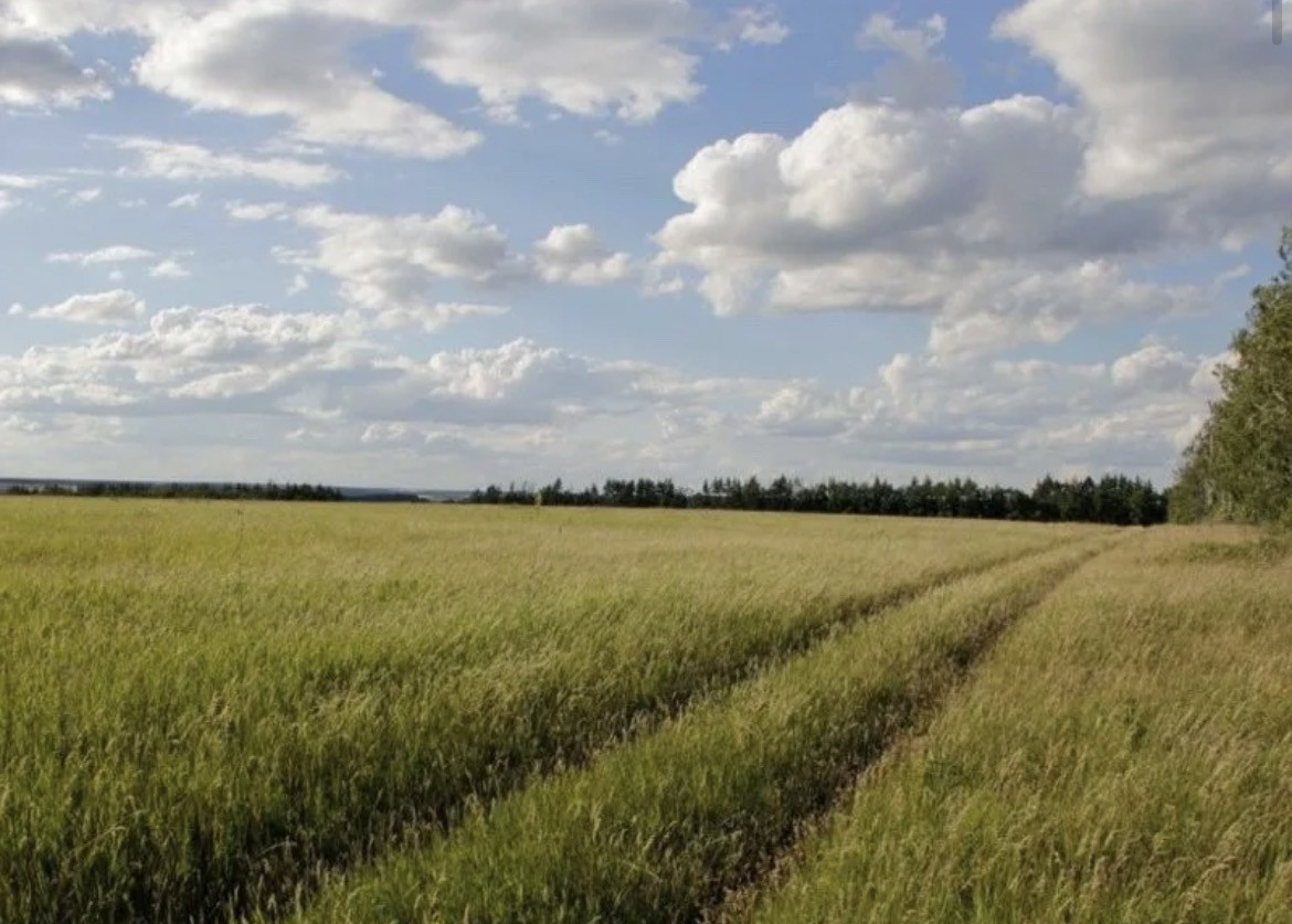 Участок фото земля сельхозназначения. Сельхозземель. Земли сельскохозяйственного назначения. Земли сельхозназначения орловская область. Село григорьевское тульская область.