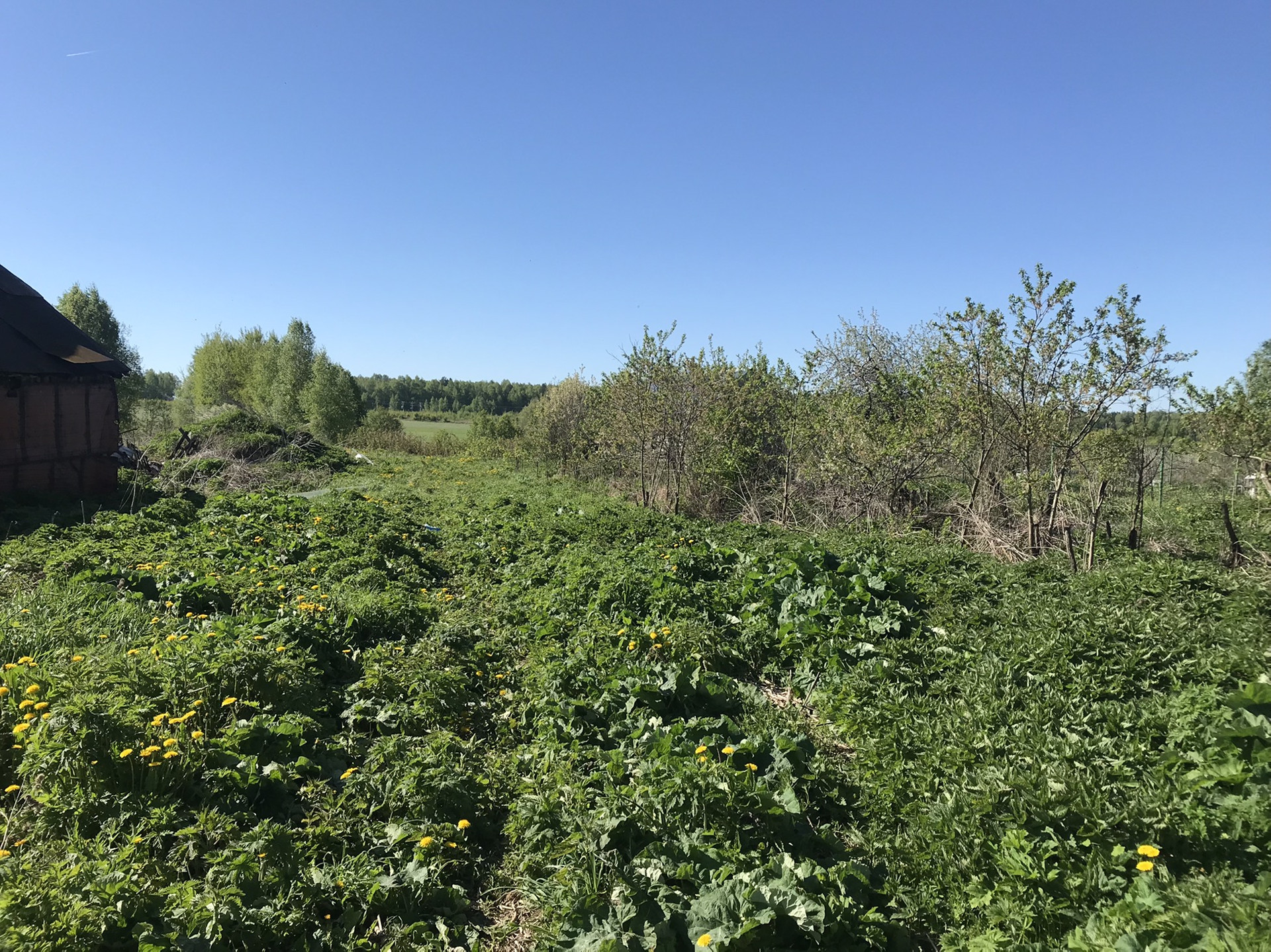 Купить Дачу В Лисьих Ямках Нижегородской Области