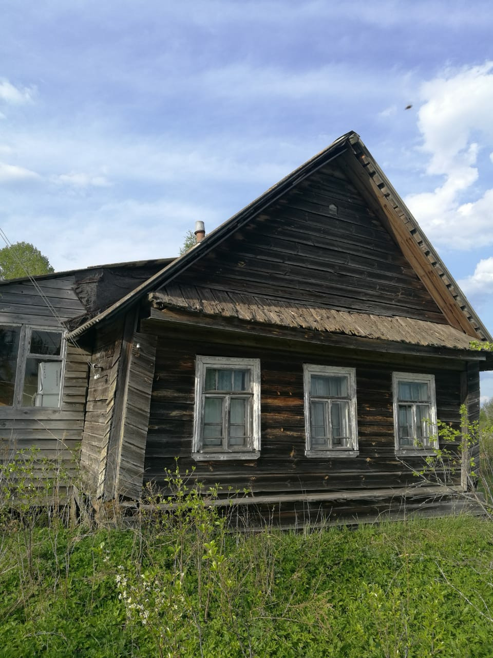 Старое рахино новгородская область. Новгородская обл., Крестецкий р-н., вблизи д.Ракушино..