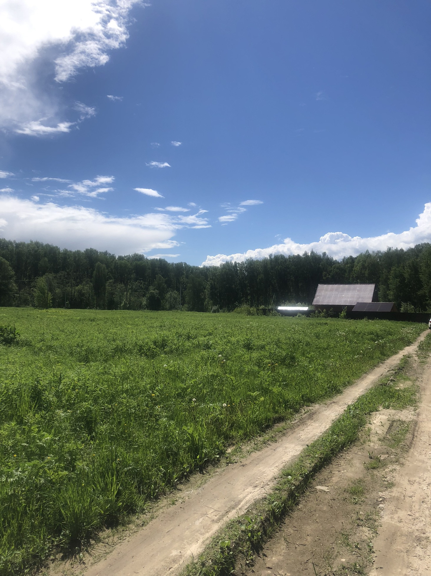 Д пожня. Музей партизанской славы торопец. Д пожня. Деревня пожня тверская область. Музей партизанской славы большой дуб.