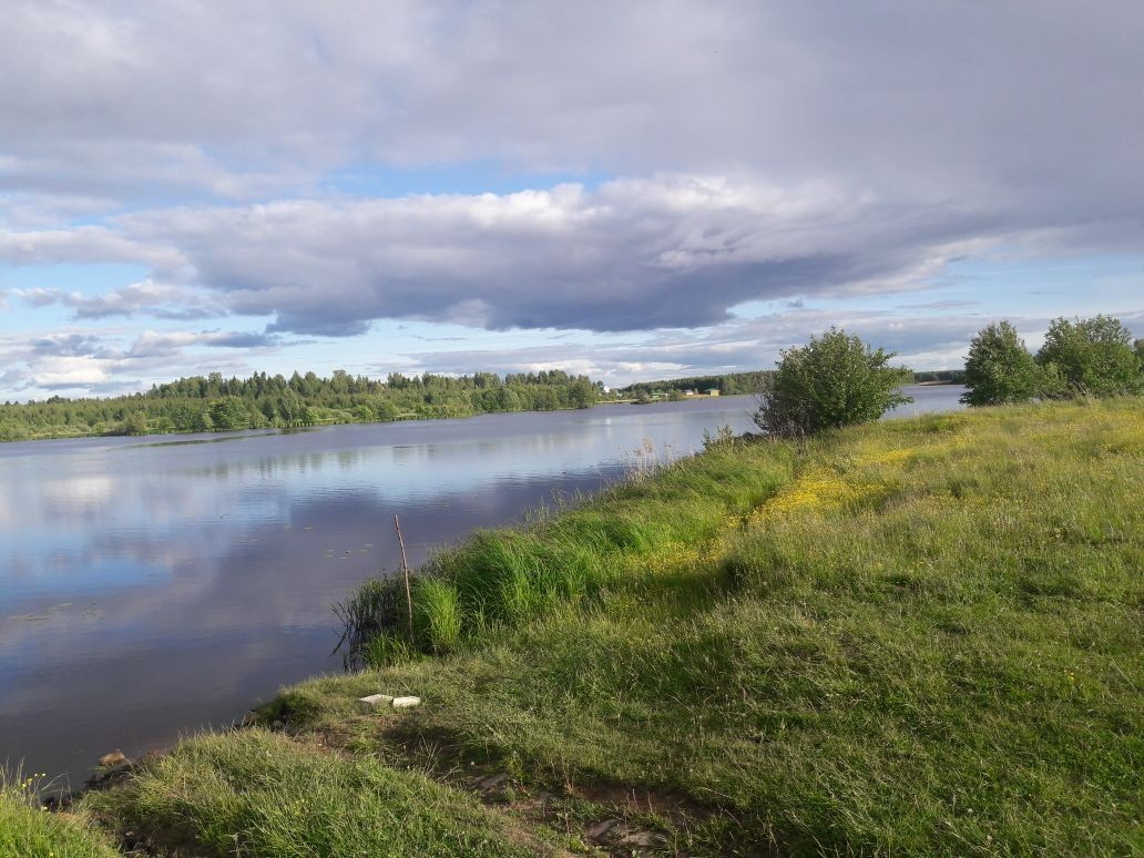 Купить участок, 600 сот., Фермерский по адресу Республика Марий Эл,  Килемарский район, деревня Сенюшкино за 300 000 руб. в Домклик — поиск,  проверка, безопасная сделка с жильем в офисе Сбербанка.