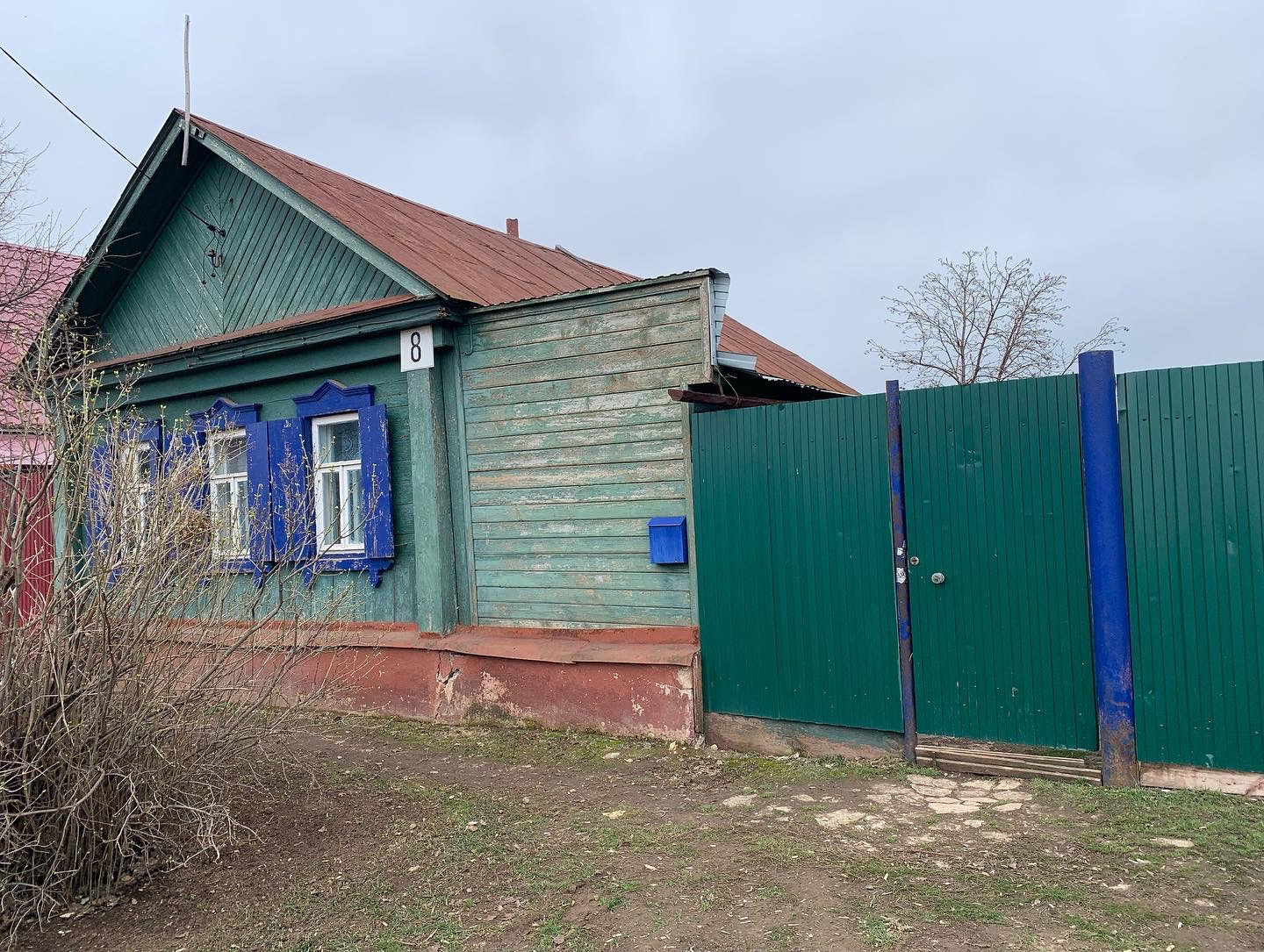 Домашний бугуруслан. Бугуруслан дома.