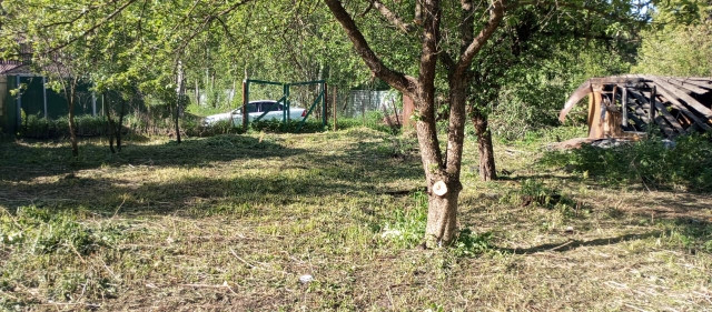 Фото Участок 7.5 сот., СНТ Сосновый бор, 17