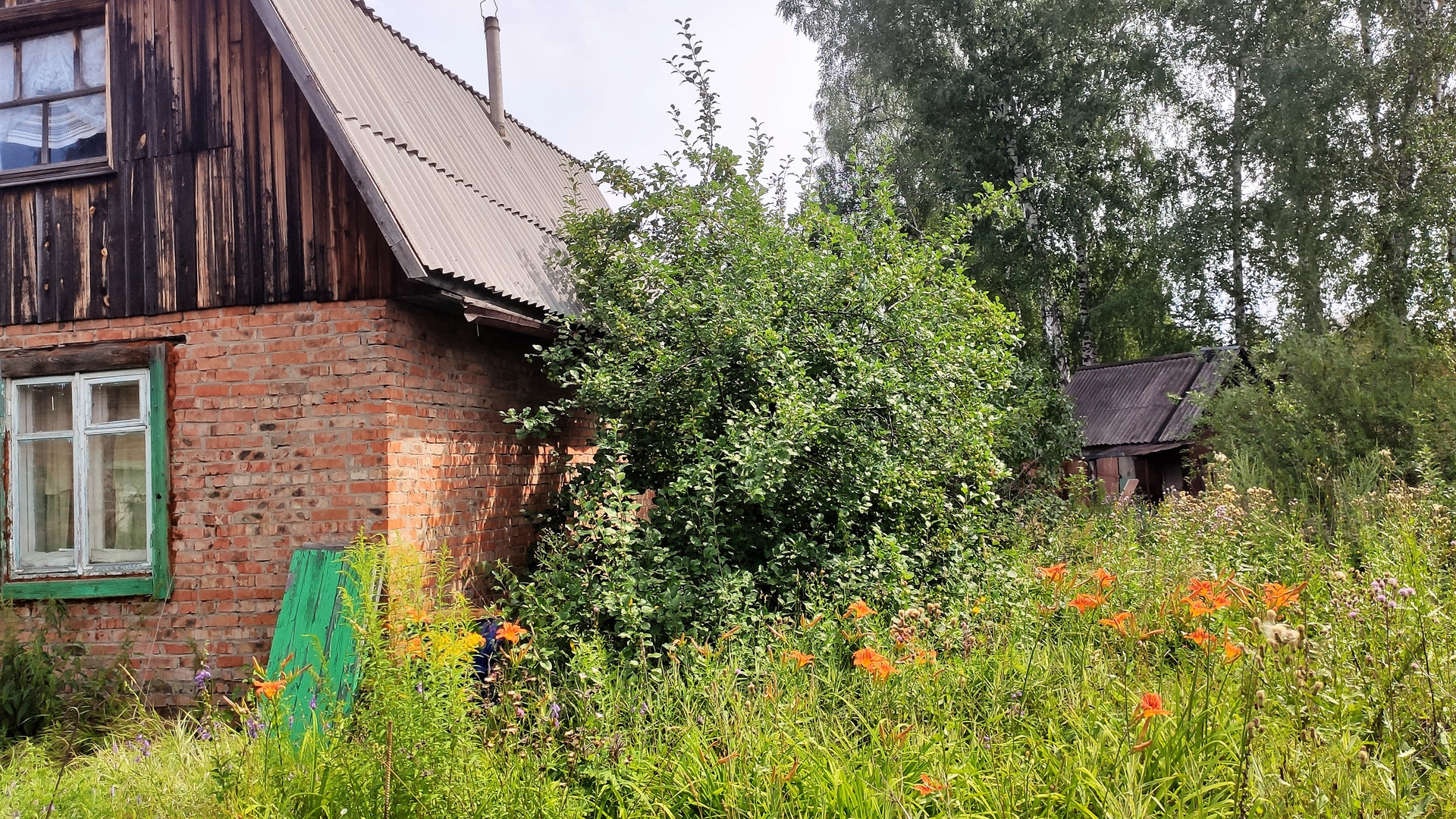 Купить Дачу В Колыванском Районе Новосибирской