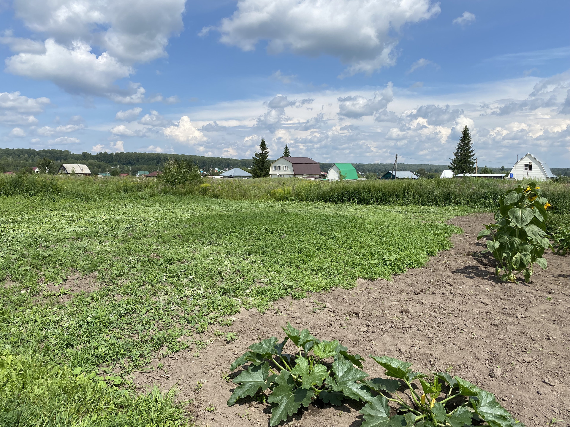 Купить Дом В Репьево Новосибирская Область