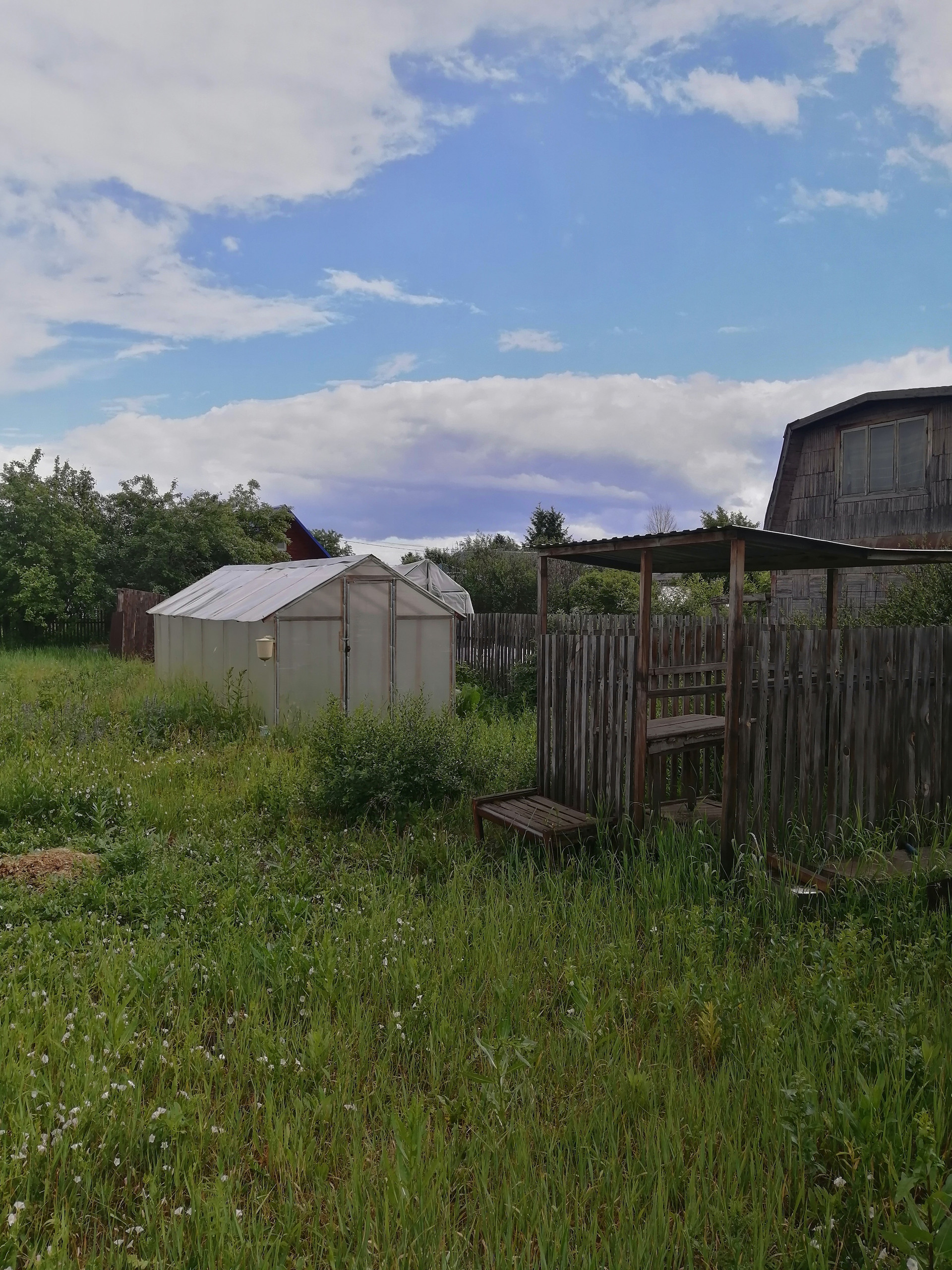 Снт садовод новосибирск. Садовое товарищество Садовод. СНТ осень.