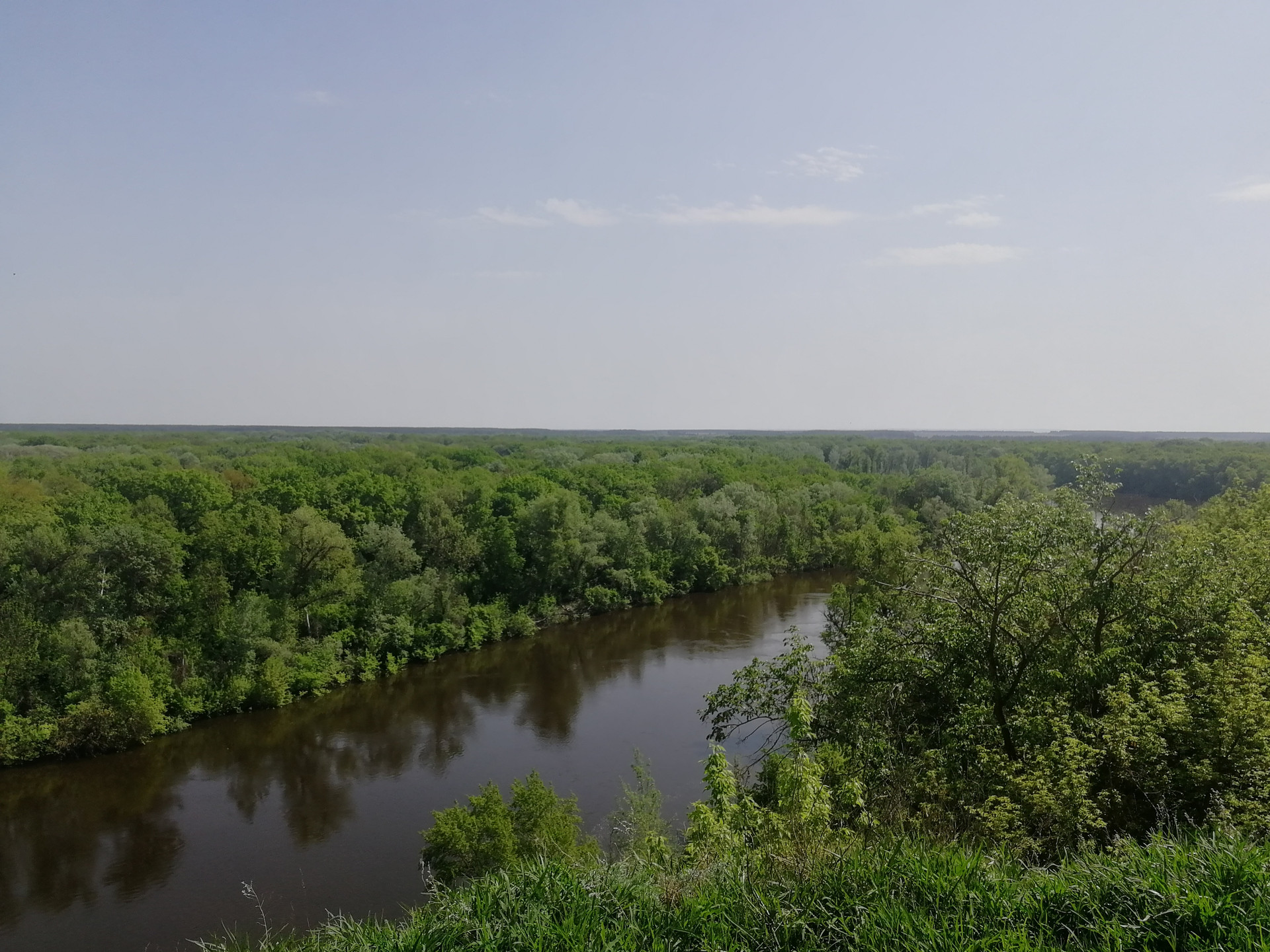 Купить дом, 51.7 м² по адресу Воронежская область, Хохольский район, село  Петино, улица Павлова, 64 за 2 100 000 руб. в Домклик — поиск, проверка,  безопасная сделка с жильем в офисе Сбербанка.