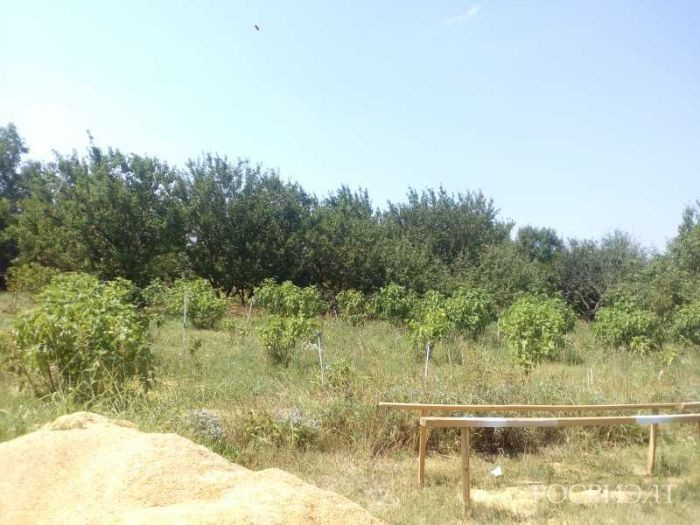 Участок 40 га. Село каменная лубна. Поселок шуваево красноярский край. Краснодар ул победы 2. Судебные участки краснодар.