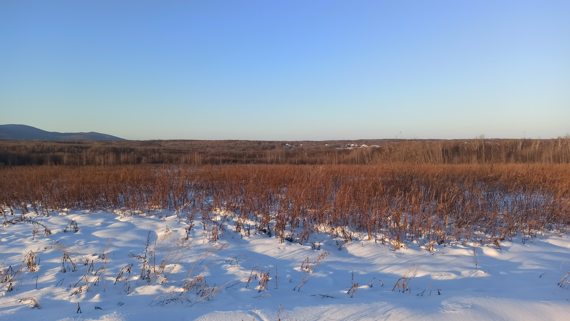 Купить Участок В Осиновой Речке Хаб Района