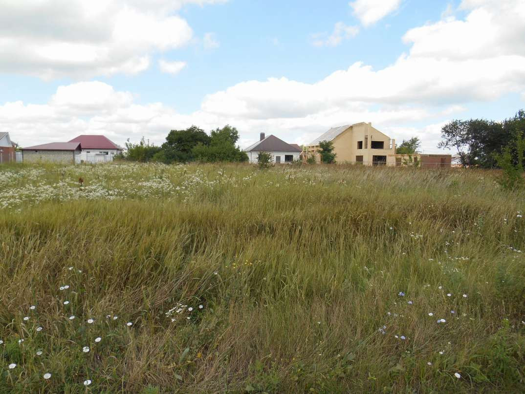 земельные участки под воронежем. ижс воронежская обл. село латное. село чертовицы. земельные участки под воронежем.