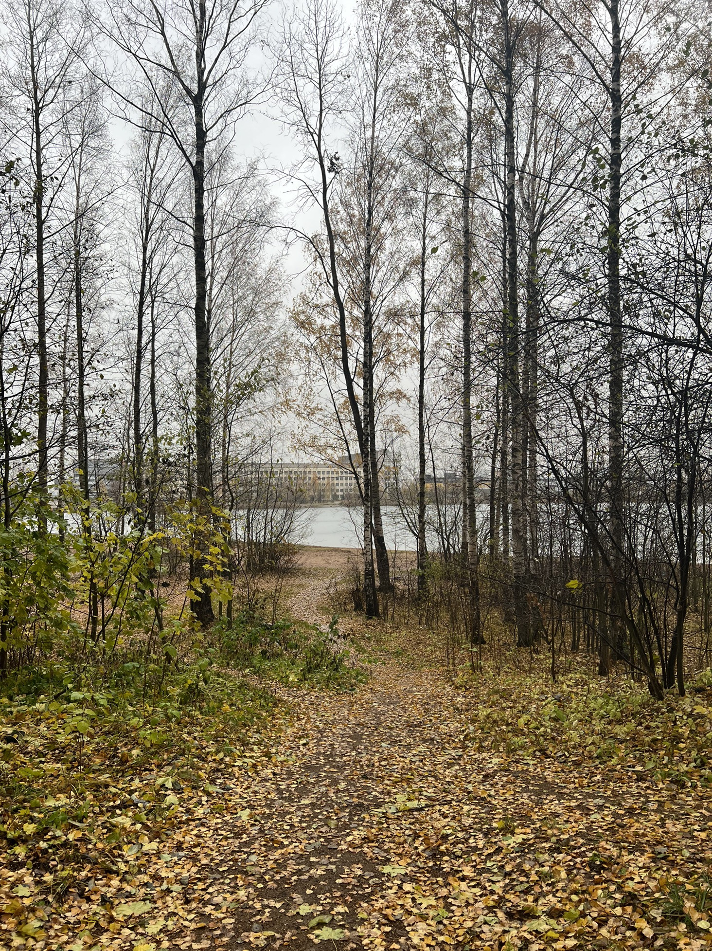 Снт Климовец Парголово Купить Участок