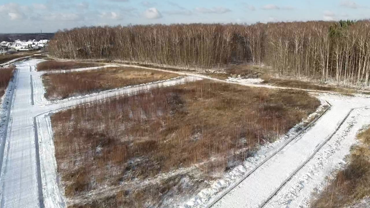 Домодедовская сонино. СНТ Сиеста Домодедово. Домодедово деревня Курганье.