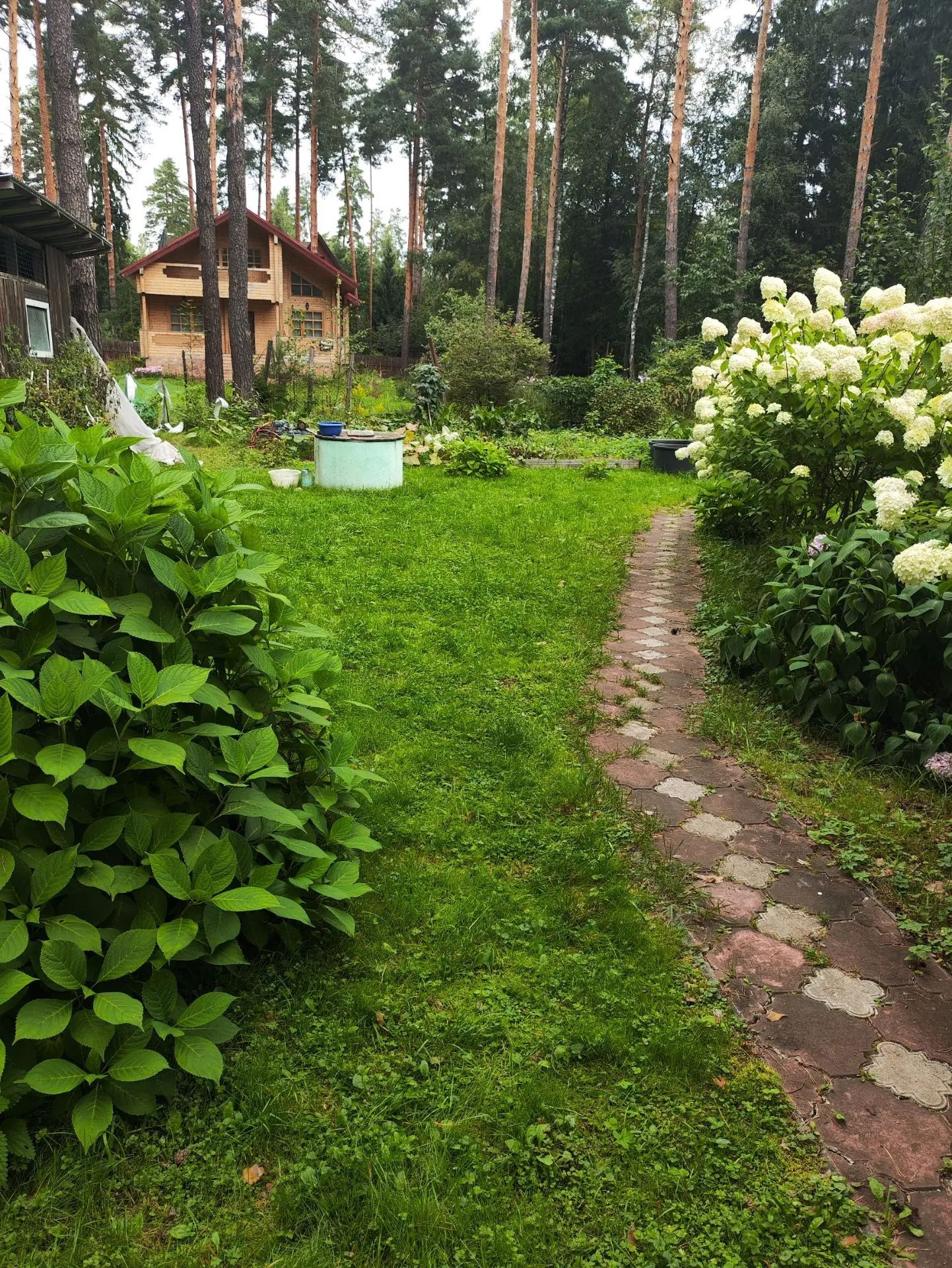 Фото Дом, улица Еловая, 5а, 4