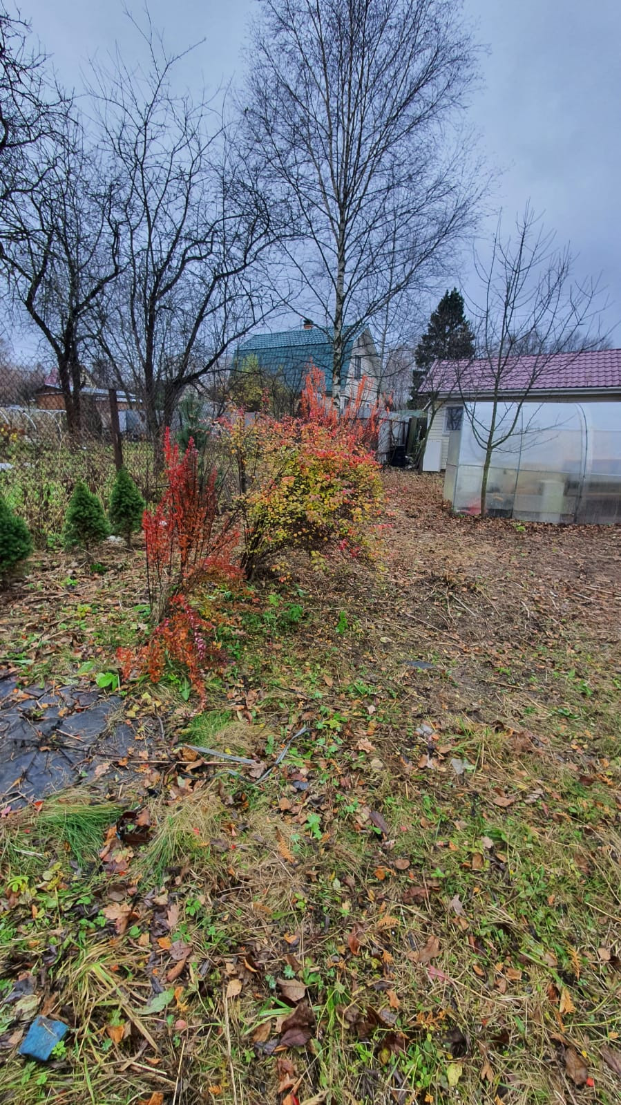 Барыбино Домодедовский Район Купить