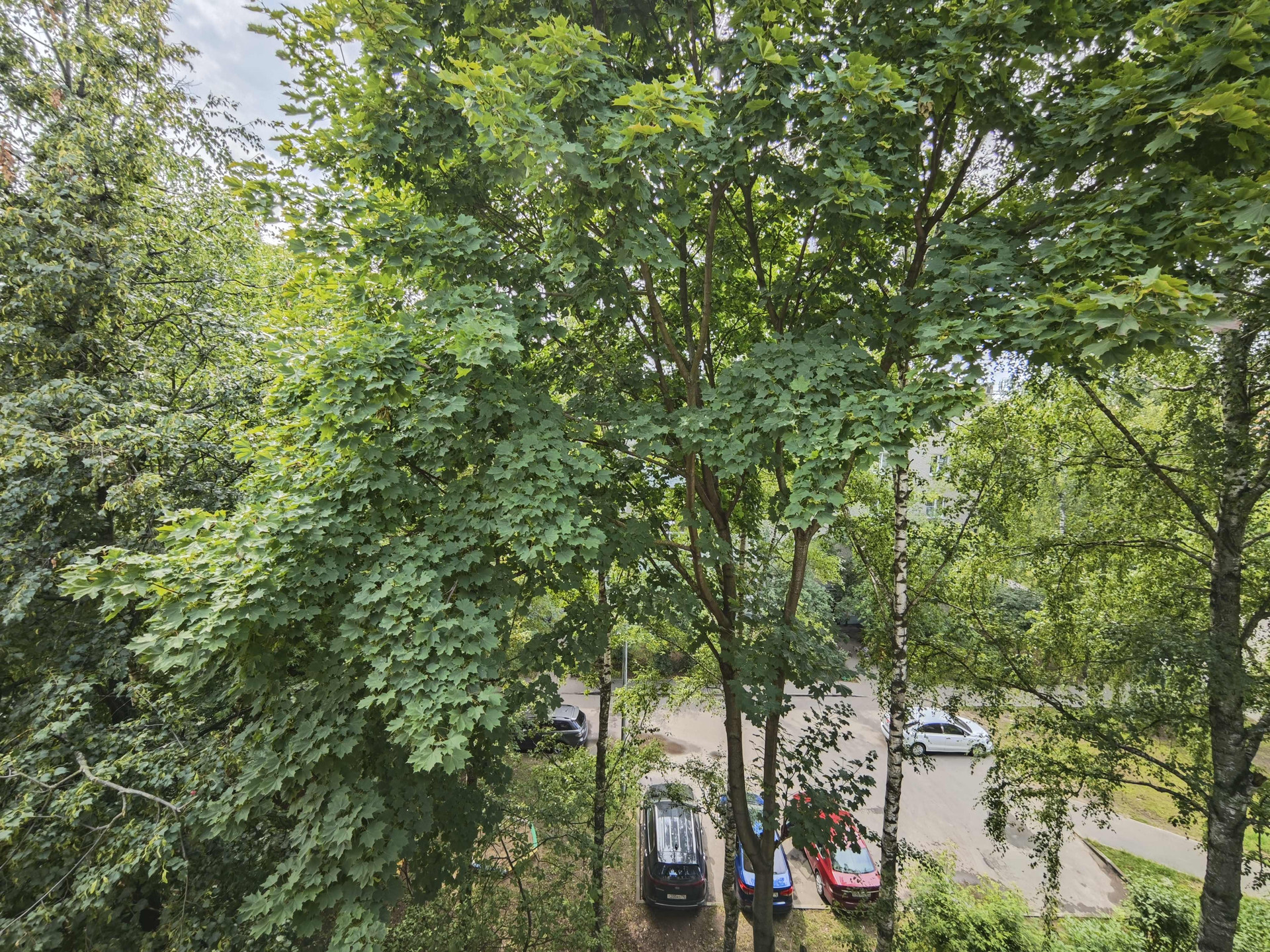 Реутов, 1-й микрорайон м-н, Советская улица, 9 - Vista 4