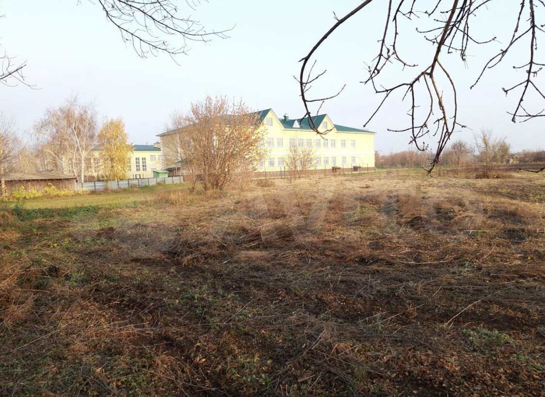 Радченское село улица горького. Село радченское воронежская область. Школа радченское, богучарский. Радченская средняя школа. Журавка, первомайская ул.