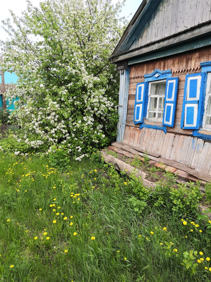 Недорого Квартиру Купить В Раевке Альшеевский Район