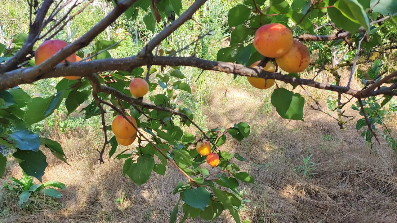 Купить Дом Абинский Район Краснодарский Край