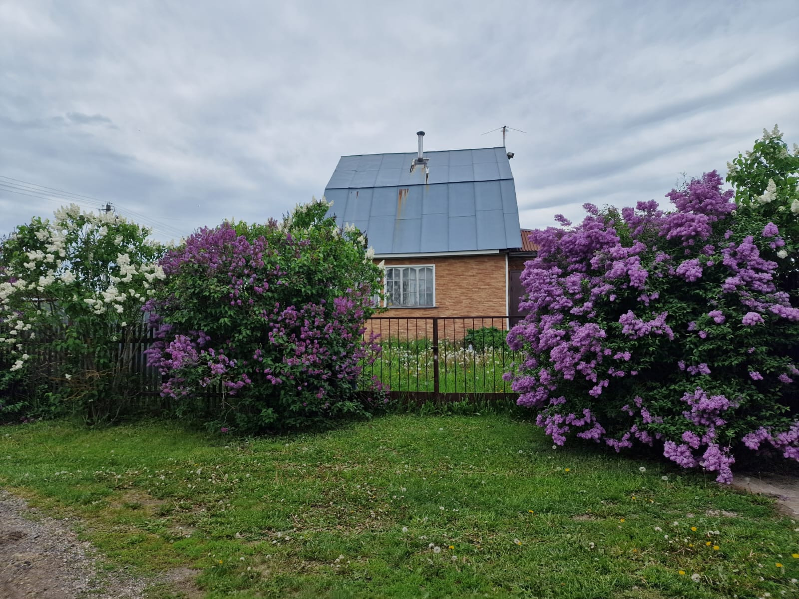 Купить дом, 50 м² по адресу Московская область, Раменский городской округ,  СНТ Жирошкино за 10 000 000 руб. в Домклик — поиск, проверка, безопасная  сделка с жильем в офисе Сбербанка.