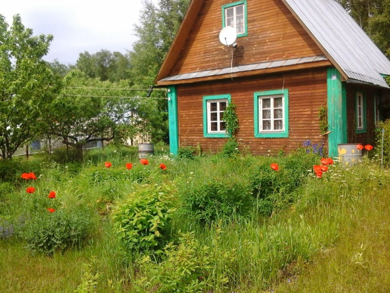 Село в череповецком районе. Череповец деревня Вешняки.