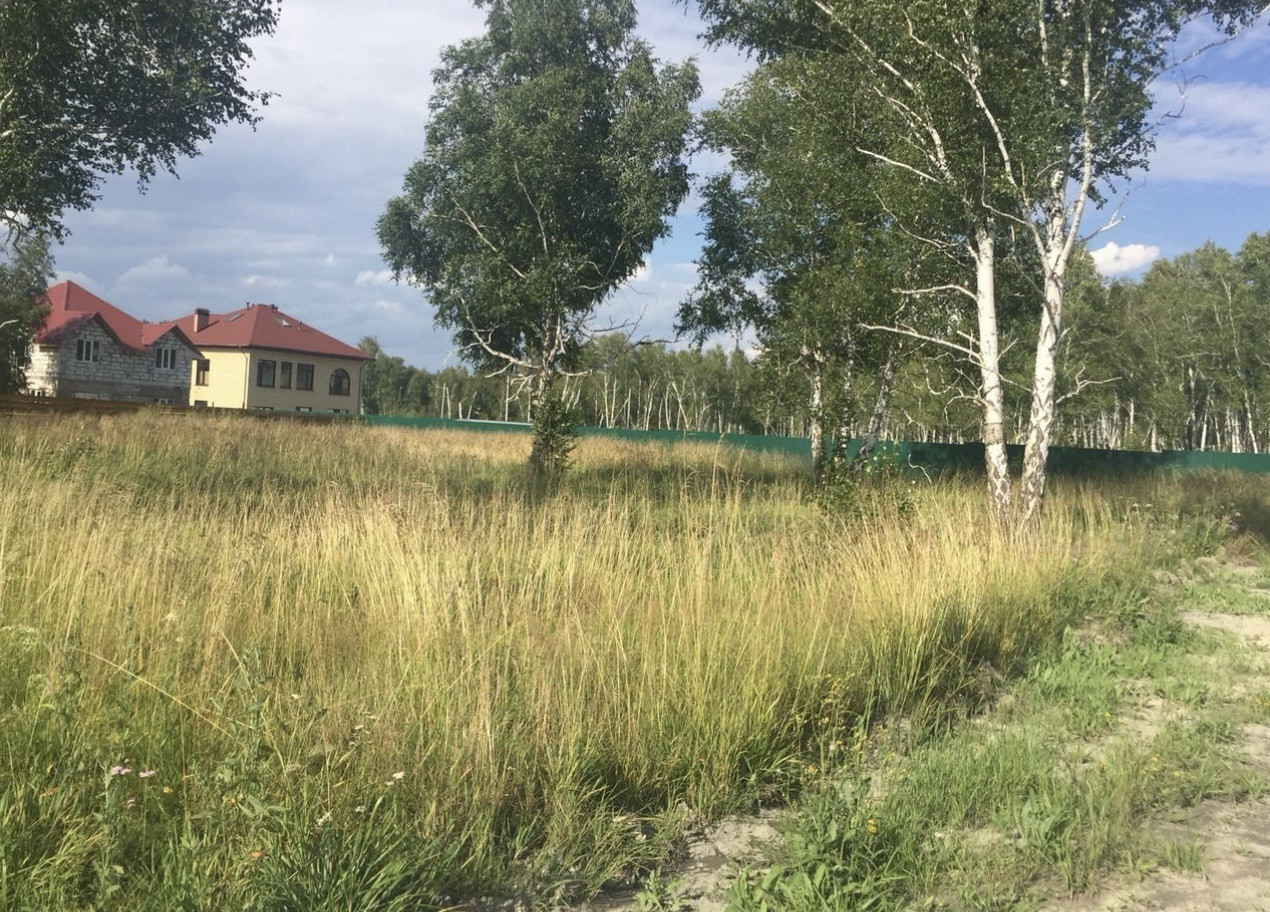 днт березовая роща