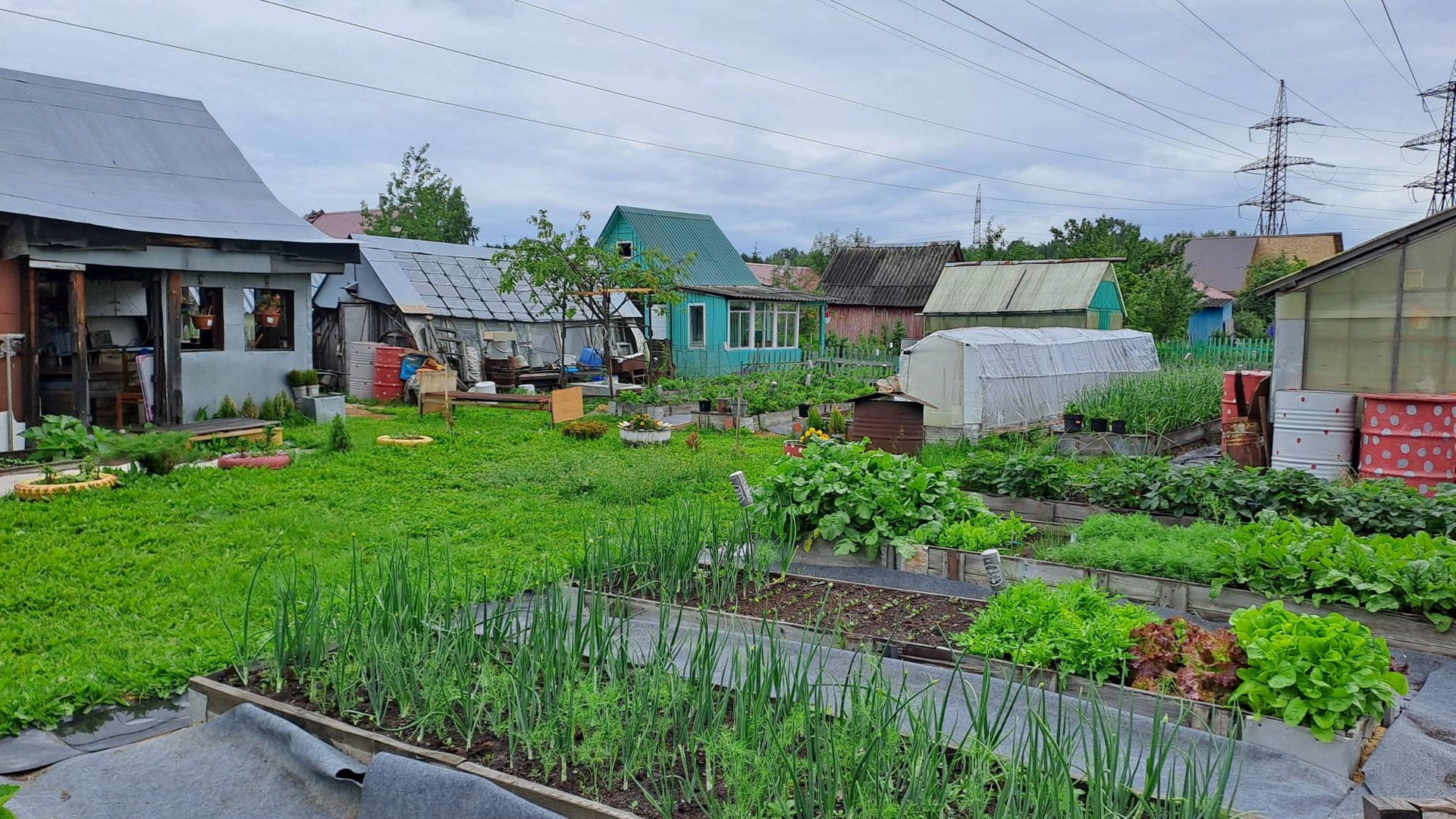 Купить Сад В Среднеуральске Недорого Фото