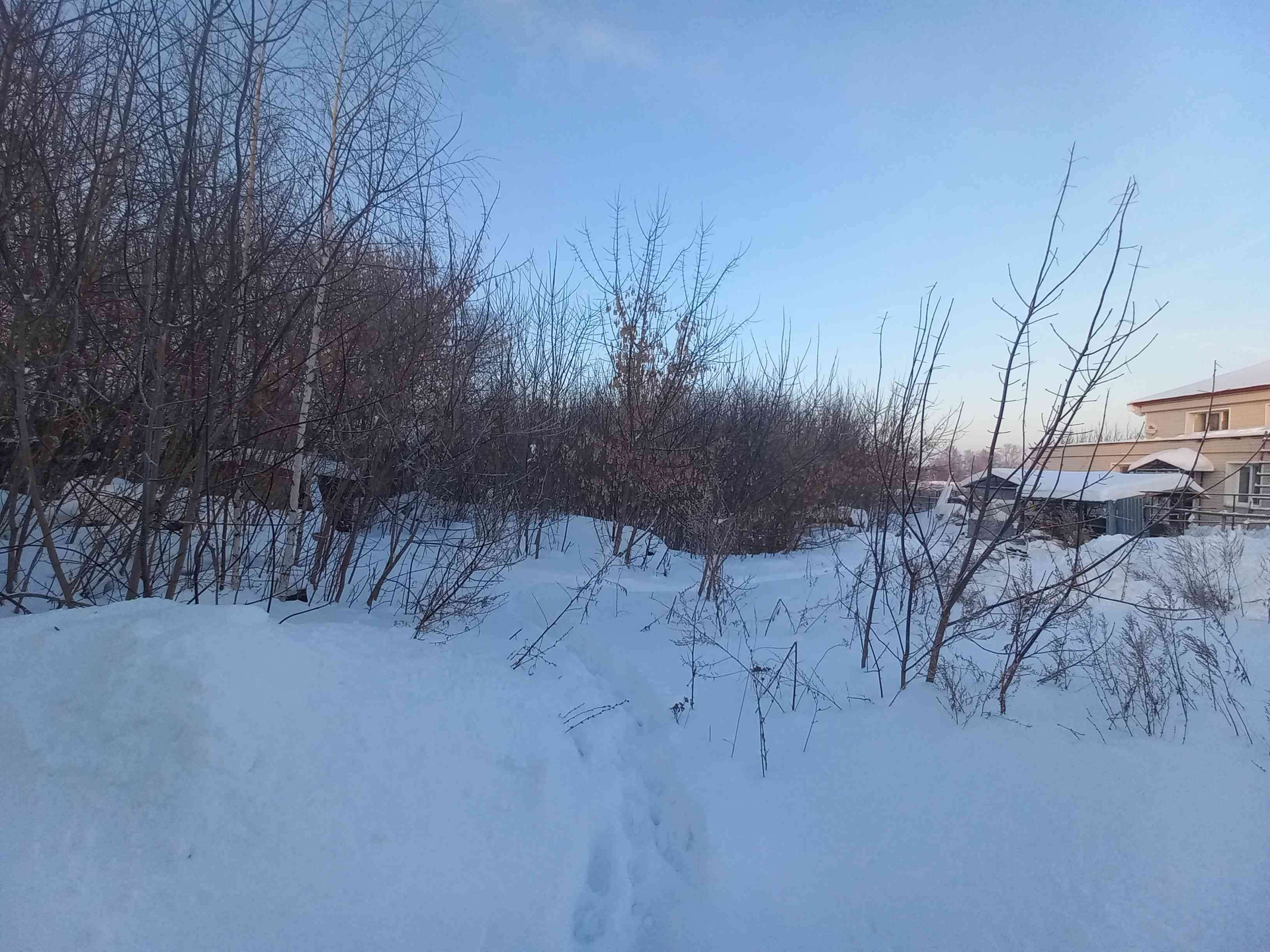 Погода в васильево на 10 дней. Пгт Васильево. Васильево Татарстан погода.