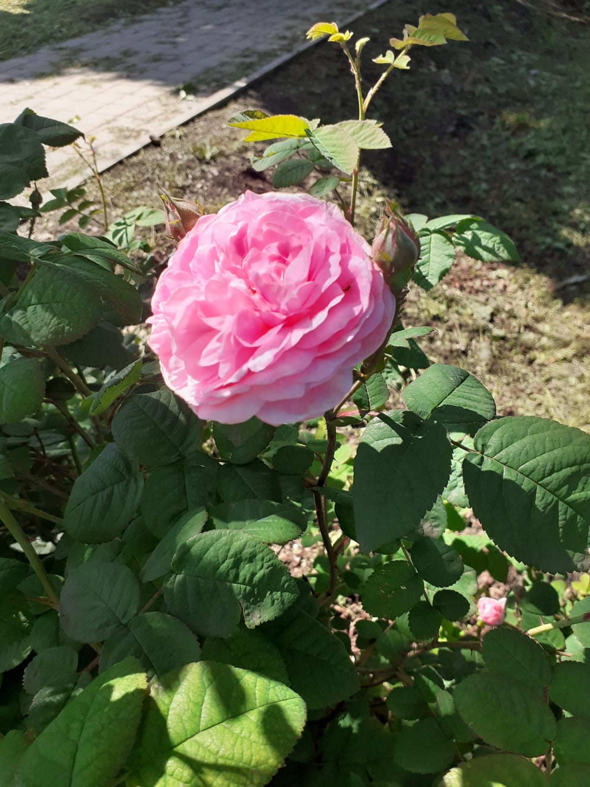 Дом под ключ в Курганинск найти Дом под ключ в Курганинск найти