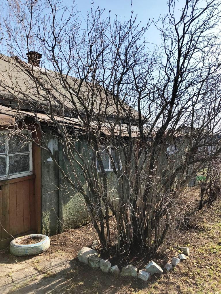 Купить дом, 22.7 м² по адресу Кемерово, 1-й Улусовский переулок, 1А за 1  200 000 руб. в Домклик — поиск, проверка, безопасная сделка с жильем в  офисе Сбербанка.