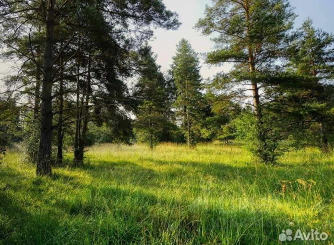 Купить участок, 20 сот., ИЖС по адресу Свердловская область, Полевской  городской округ, село Курганово за 4 000 000 руб. в Домклик — поиск,  проверка, безопасная сделка с жильем в офисе Сбербанка.